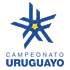 Первая дивизия