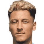 player-logo
