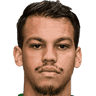 player-logo