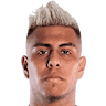 player-logo