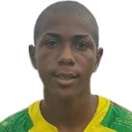 player-logo