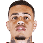 player-logo