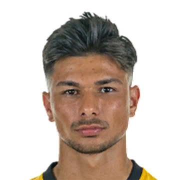 player-logo