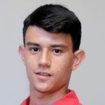 player-logo