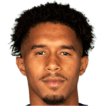 player-logo
