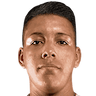 player-logo