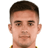 player-logo