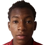 player-logo