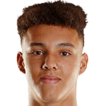 player-logo