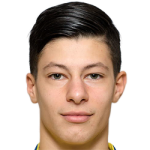 player-logo