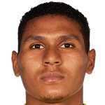 player-logo