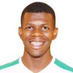player-logo