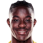 player-logo