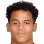 player-logo