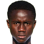 player-logo