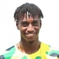 player-logo