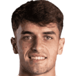 player-logo