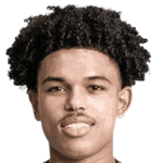 player-logo
