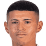 player-logo