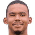 player-logo