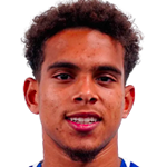 player-logo