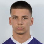 Viktor Radojevic