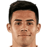 player-logo