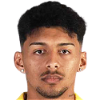 player-logo