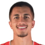 player-logo