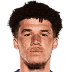 player-logo