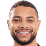player-logo