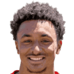 player-logo