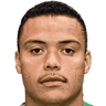 player-logo