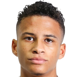 player-logo