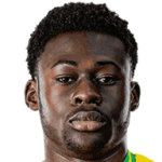 player-logo