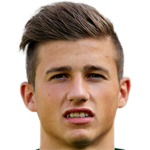 player-logo