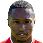 player-logo