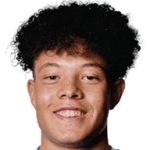 player-logo