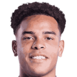 player-logo