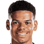 player-logo