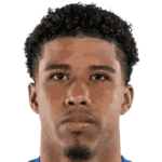 player-logo