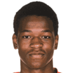 player-logo