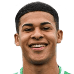 player-logo