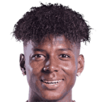 player-logo