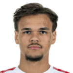 player-logo
