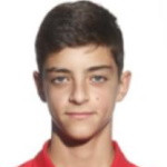 player-logo