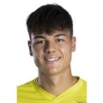 player-logo