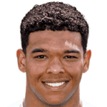 player-logo