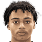 player-logo