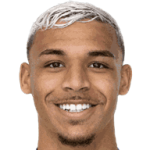 player-logo